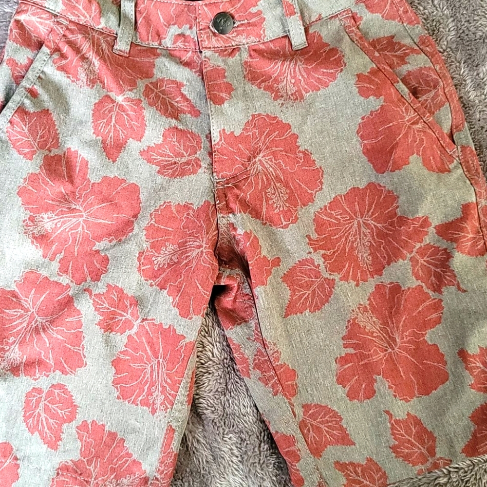 Gray and red multifunctional trunks small